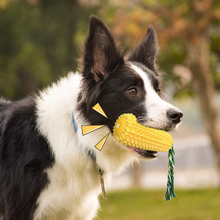 Corn Sound Dog Toy