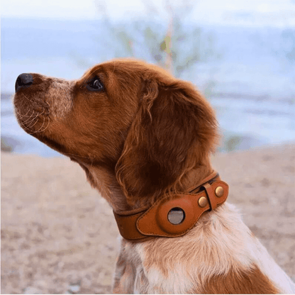 Aussie Pets™ Premium Leather Dog Tracker Collar