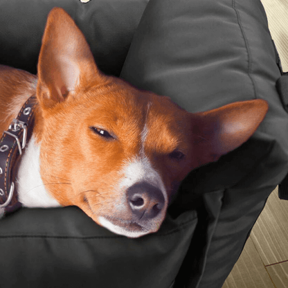 AussiePets™ Premium Portable Travel Bed