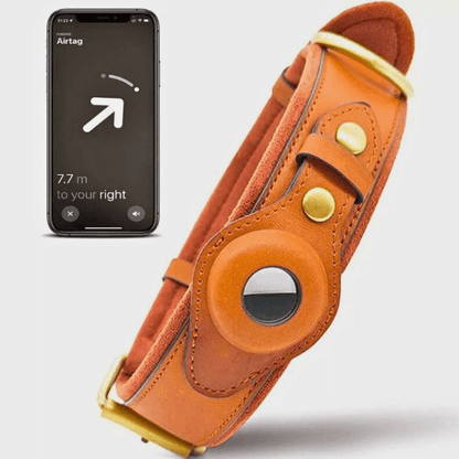 Aussie Pets™ Premium Leather Dog Tracker Collar